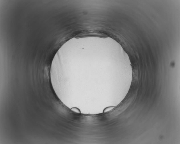 X0000116880286201001121329