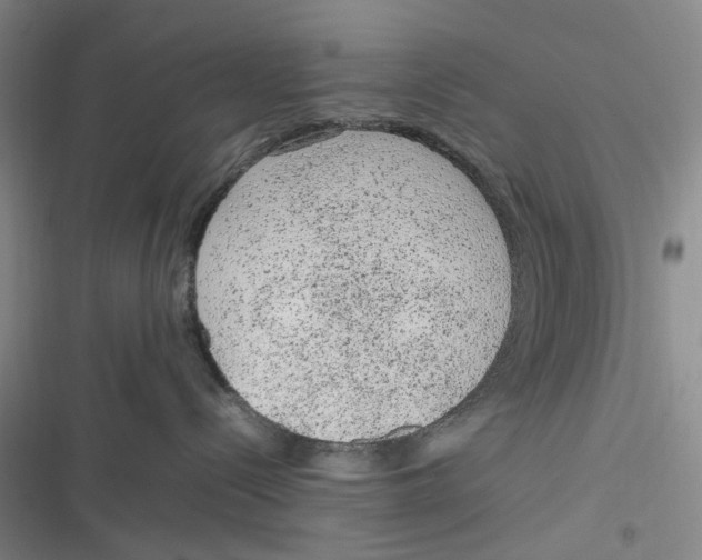 X0000116880288201001121329