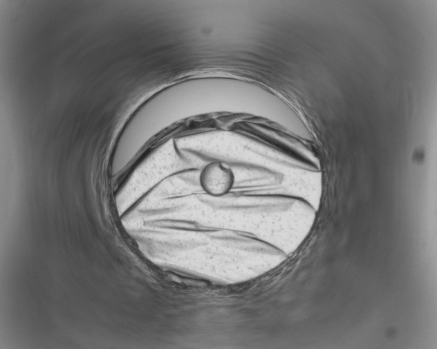 X0000116880289201001121328