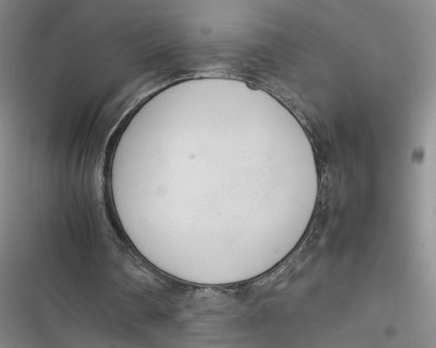 X0000116880290201001121328