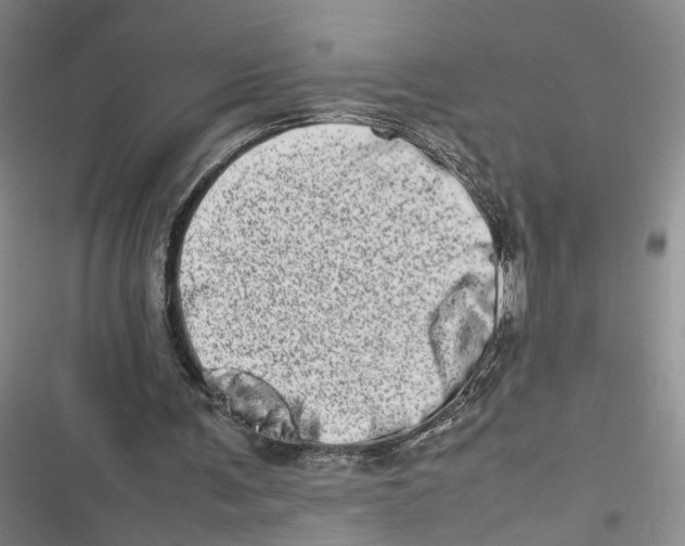 X0000116880291201001121328