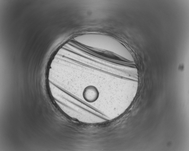 X0000116880293201001121328