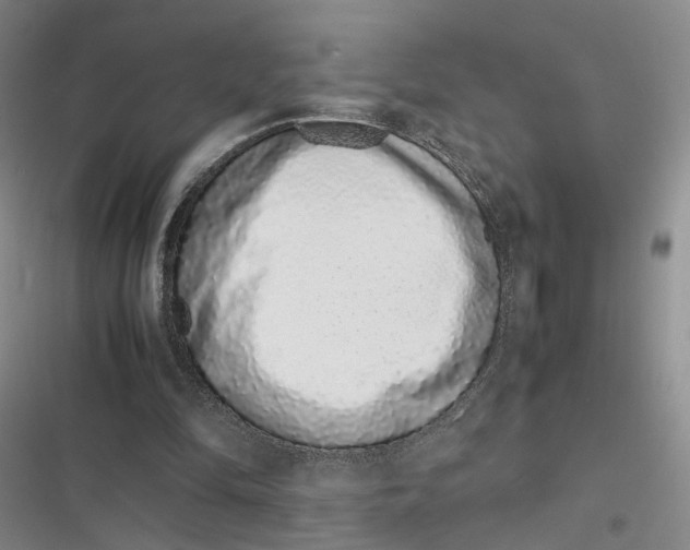 X0000116880294201001121328