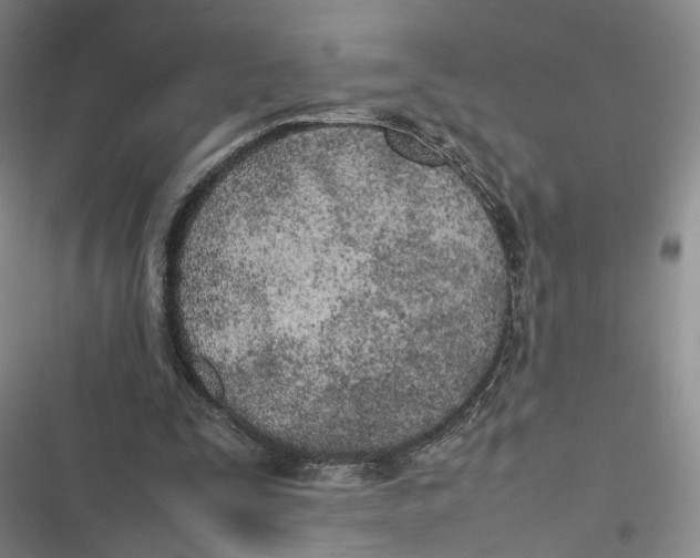 X0000116880295201001121328