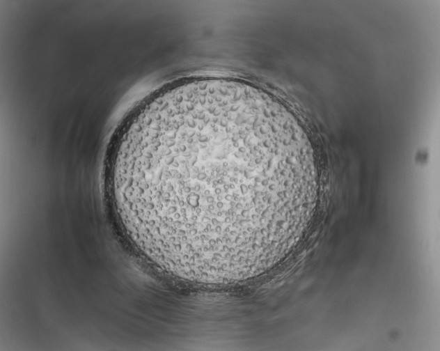 X0000116880296201001121328