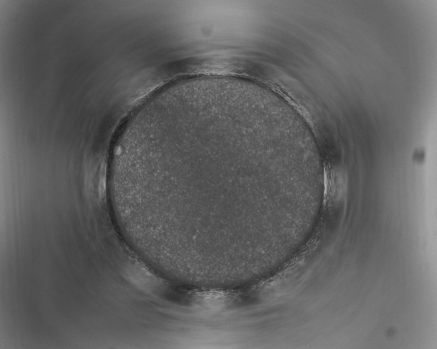 X0000116880301201001121328