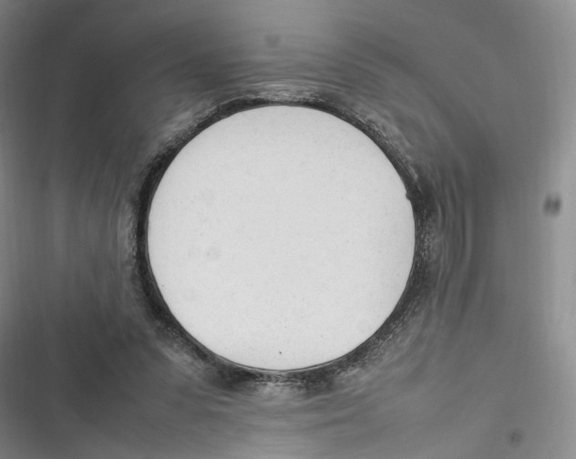 X0000116880303201001121328