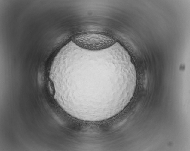 X0000116880304201001121328
