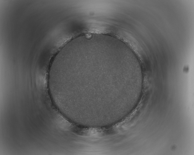 X0000116880305201001121328