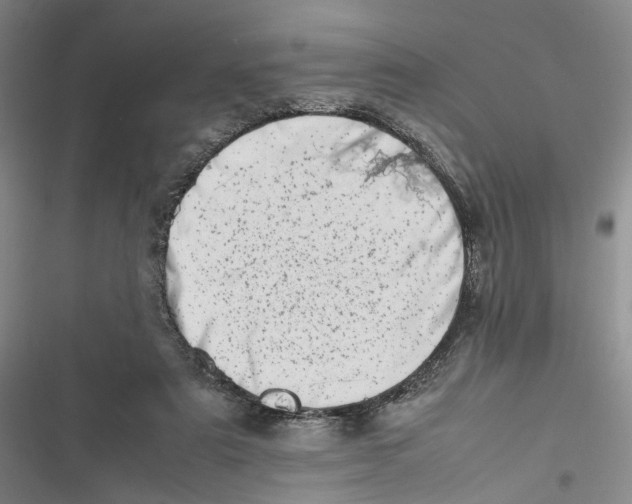X0000116880307201001121328