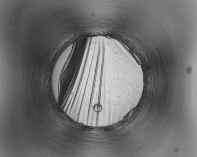 X0000116880308201001121328