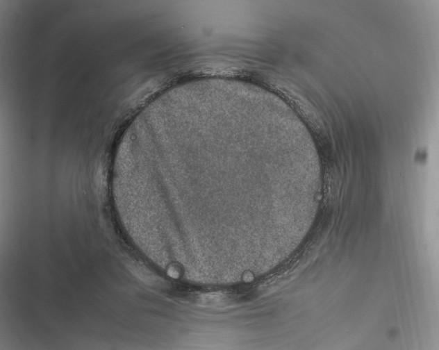 X0000116880309201001121328