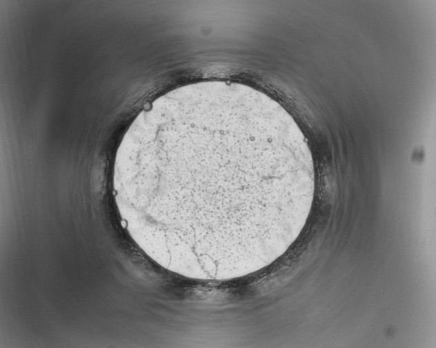 X0000116880311201001121328