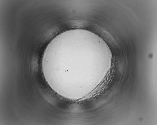 X0000116880312201001121328