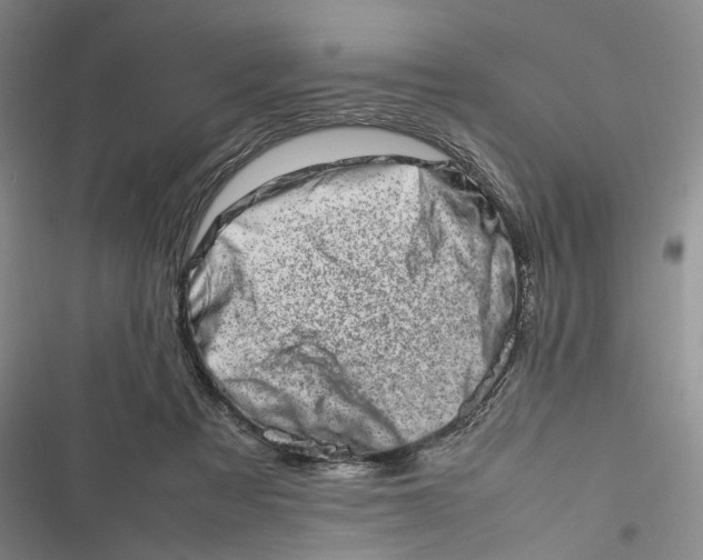 X0000116880313201001121328