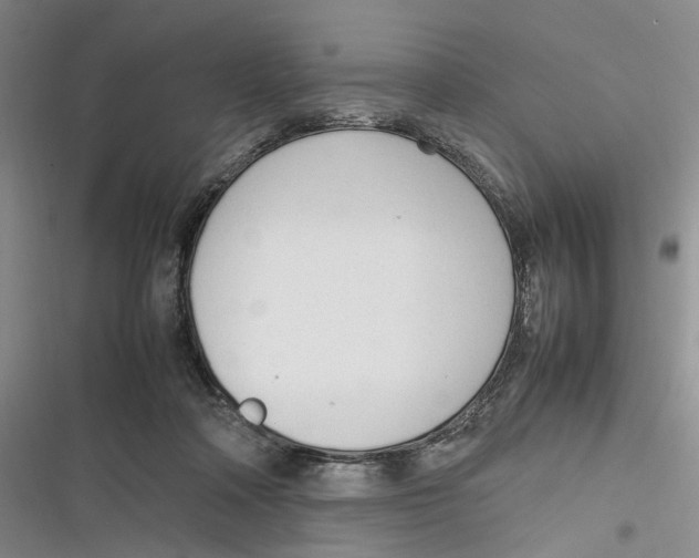 X0000116880314201001121328