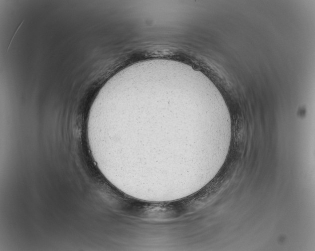 X0000116880315201001121328