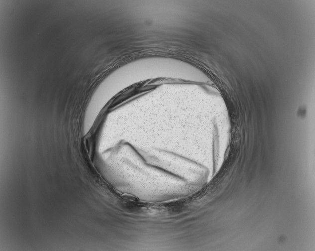 X0000116880317201001121328