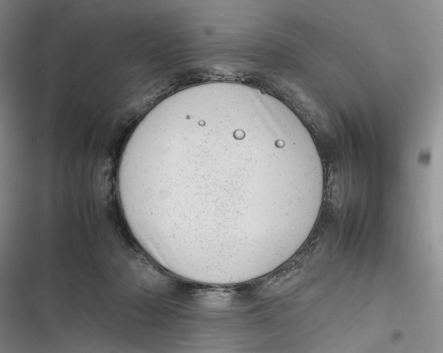 X0000116880318201001121328