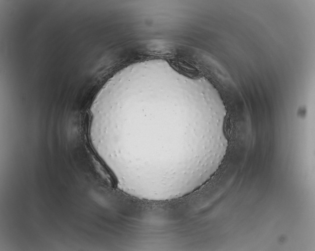 X0000116880320201001121328