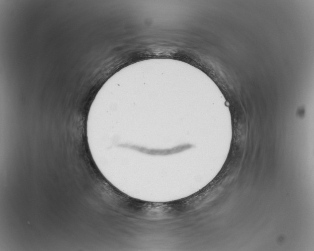 X0000116880321201001121328