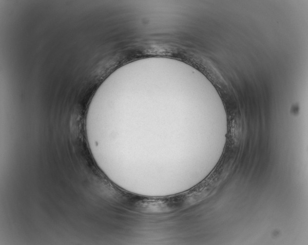 X0000116880322201001121328