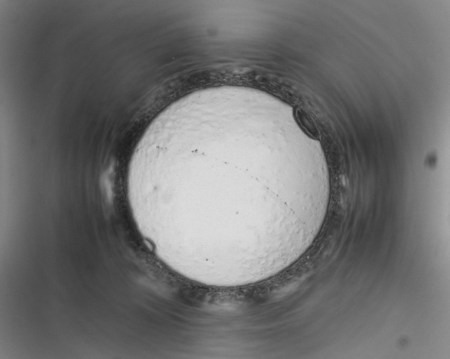 X0000116880324201001121328
