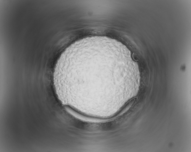 X0000116880325201001121328