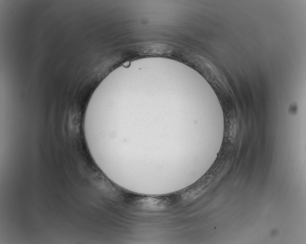 X0000116880326201001121328