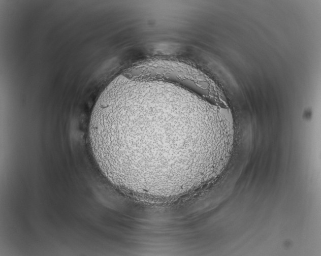 X0000116880328201001121328