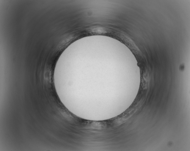 X0000116880330201001121328