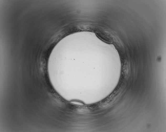 X0000116880332201001121328