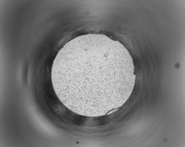 X0000116880335201001121328