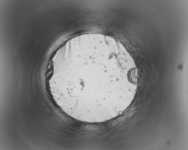 X0000116880341201001121327