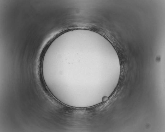 X0000116880342201001121327