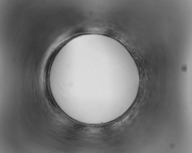 X0000116880343201001121327