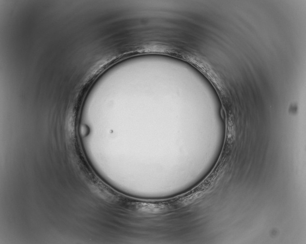 X0000116880347201001121327