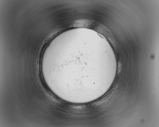 X0000116880349201001121327