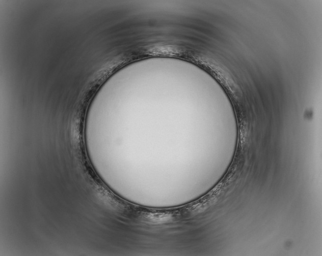 X0000116880353201001121327