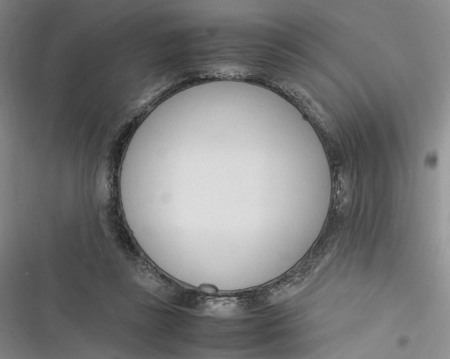 X0000116880355201001121327