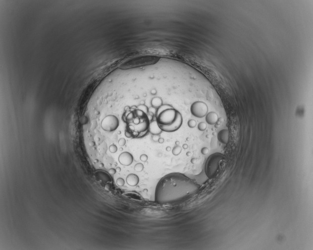 X0000116880359201001121327