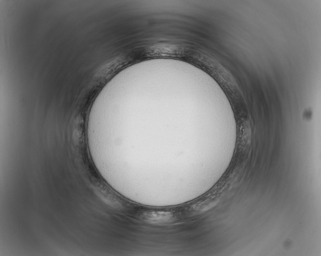 X0000116880361201001121327