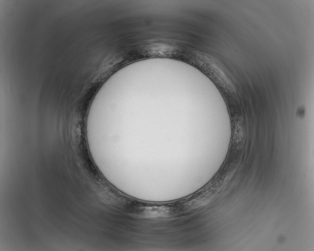 X0000116880363201001121327