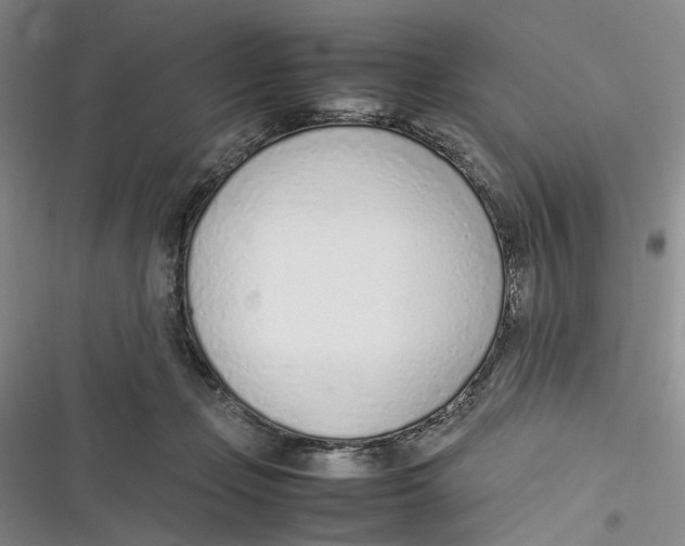 X0000116880365201001121327