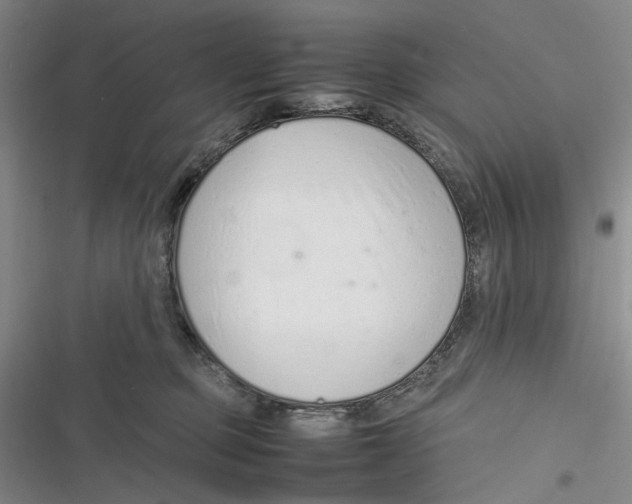 X0000116880373201001121327