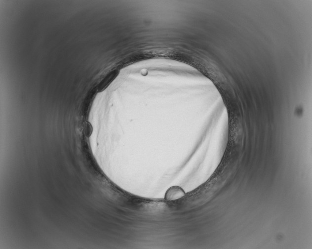 X0000116880374201001121327