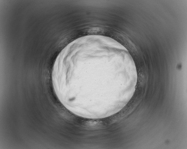 X0000116880375201001121327
