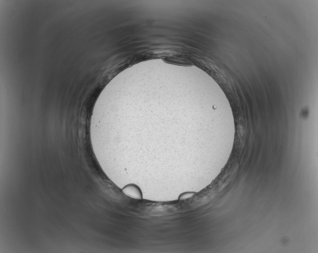 X0000116880379201001121327