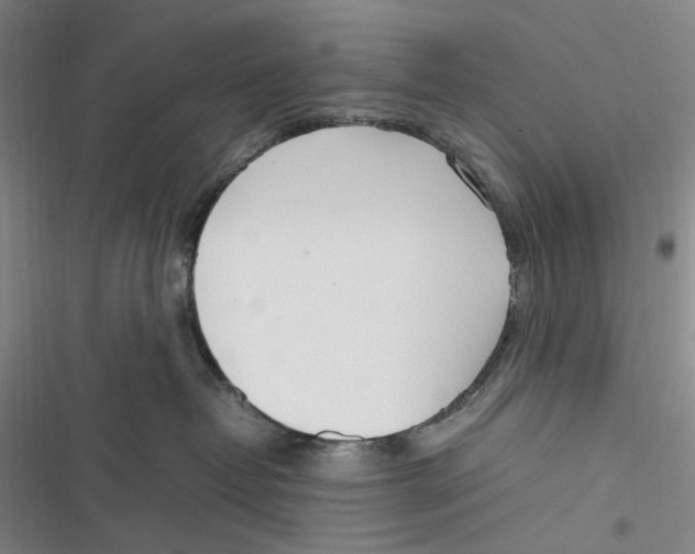 X0000116880382201001121328