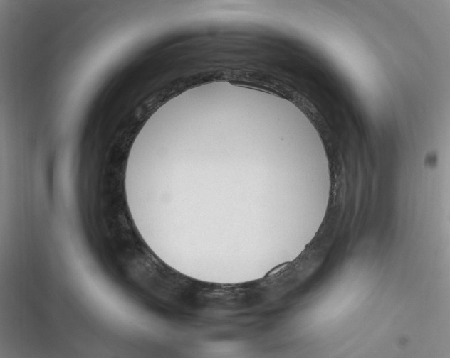 X0000116880383201001121328
